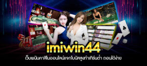 imiwin44-3